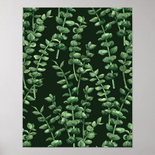 Poster Eucalyptus 2