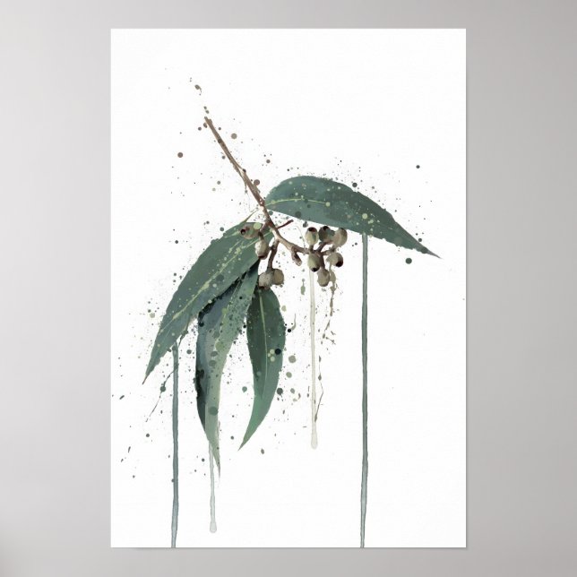 Poster Eucalyptus’ (Australien) (Devant)