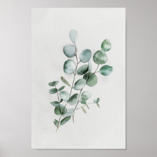 Poster Eucalyptus botanique minimaliste en aquarelle