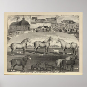 Poster Eureka Stock Farm, Scottsville, Kansas