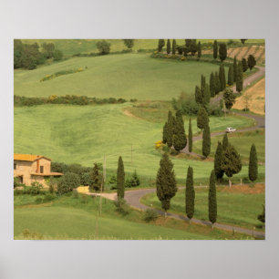 Poster Europe, Italie, Toscane, Monticchiello. Courbée