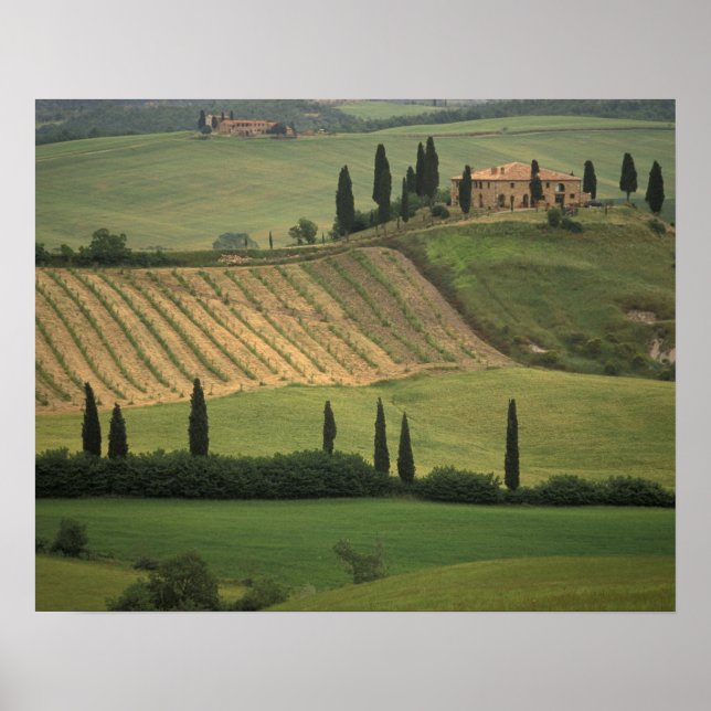Poster Europe, Italie, Toscane, Val d'Orcia, Toscane (Devant)