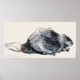 Poster European Beaver