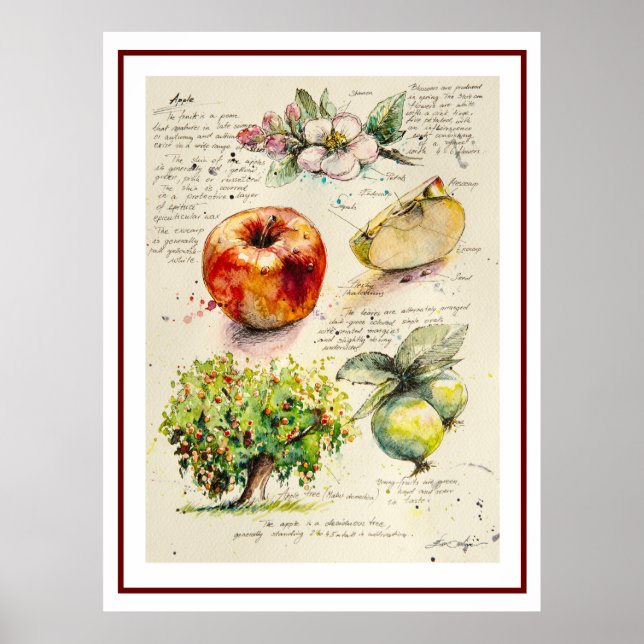 Poster EVE Illustration peinte d'Apple (Devant)