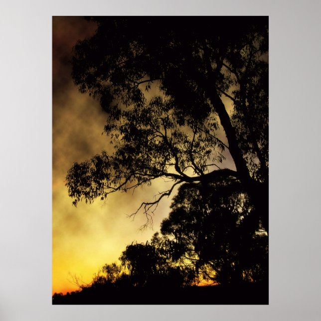 Poster Eveningscapes (Devant)