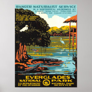 Poster Everglades