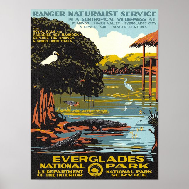 Poster Everglades (Devant)