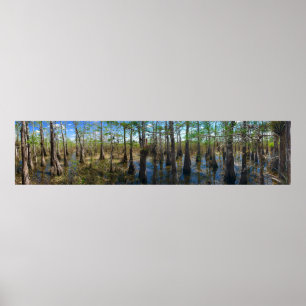 Poster Everglades Cypress