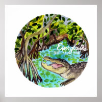Everglades Parc National Floride Aquarelle