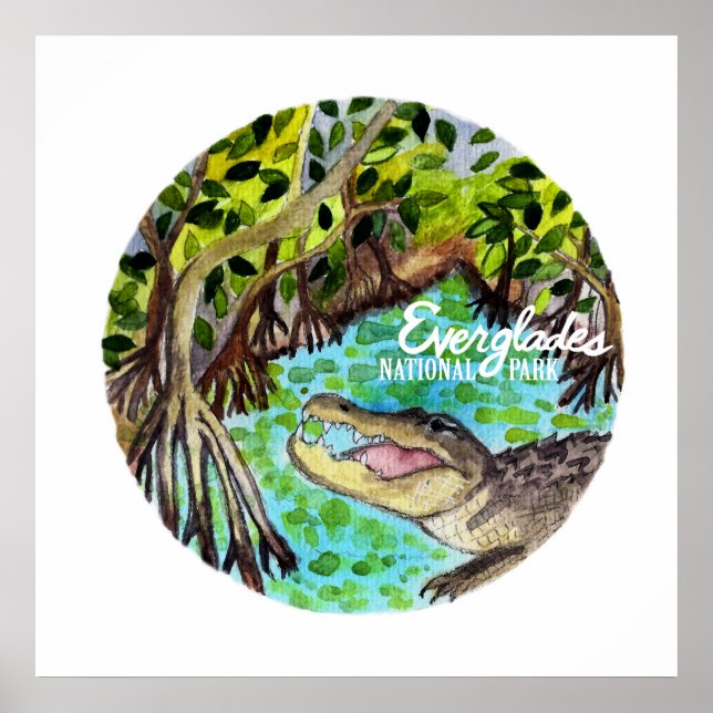Poster Everglades Parc National Floride Aquarelle (Devant)