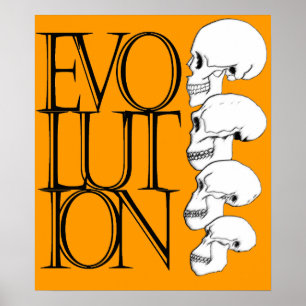 Poster Évolution