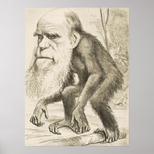Poster EVOLUTION DARWIN Charles Robert Darwin 1871 carica