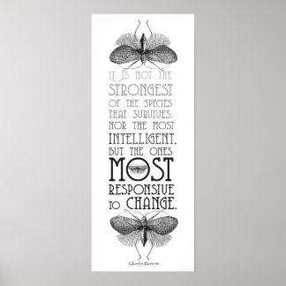 Poster Évolution des citations de Darwin