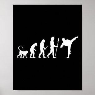 Poster Évolution du karaté