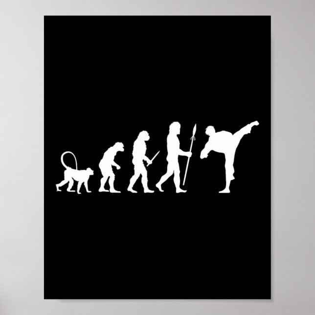 Poster Évolution du karaté  (Devant)
