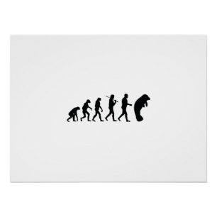 Poster Évolution du Manatee