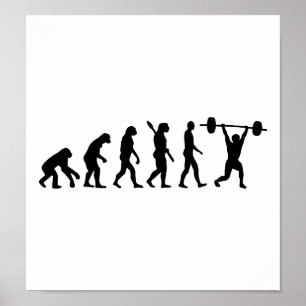Poster Évolution du poids