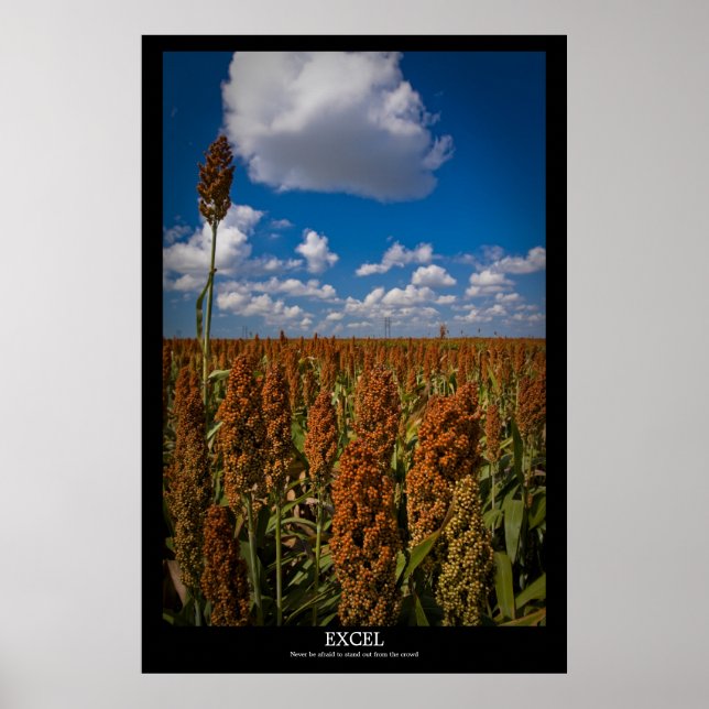 Poster Excel (Devant)