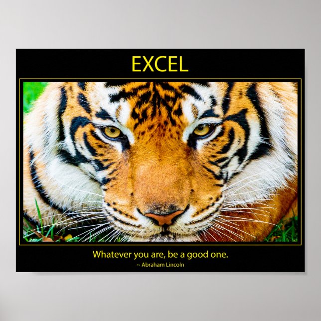 Poster Excel (Devant)