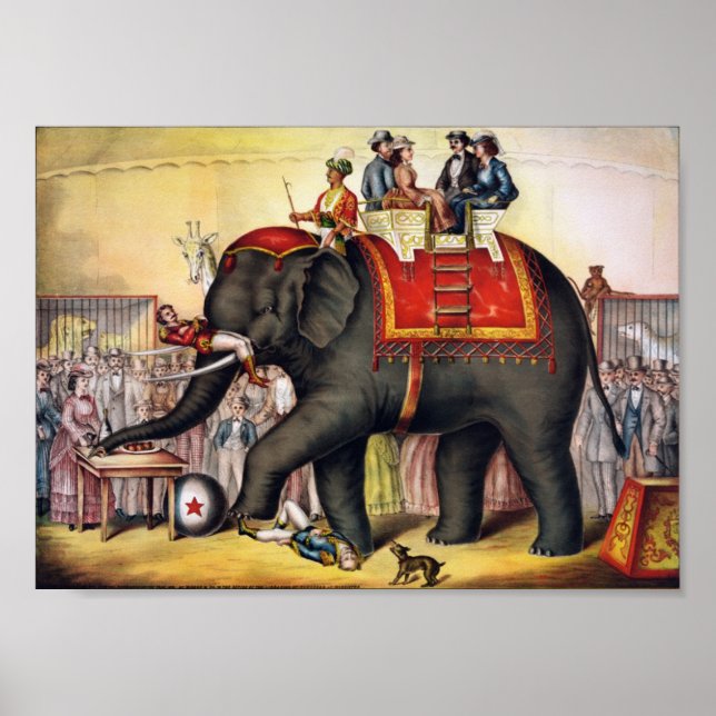 Poster Exécution d'éléphant (Devant)