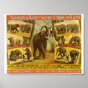 Poster Exécution des éléphants Barnum et de l'affiche de