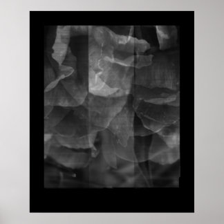 Poster Exercice en continuité