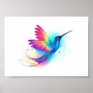 Poster Exotic Rainbow Hummingbird