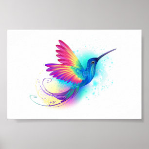 Poster Exotic Rainbow Hummingbird