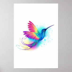 Poster Exotic Rainbow Hummingbird