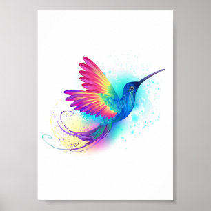 Poster Exotic Rainbow Hummingbird