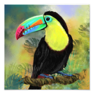 Poster Exotique Toco Toucan Oiseaux Imprimer - Pei