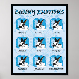 POSTER EXPRESSIONS SPOT