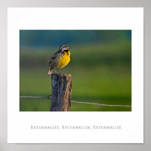 Poster Externalize, Externalize, Externalize