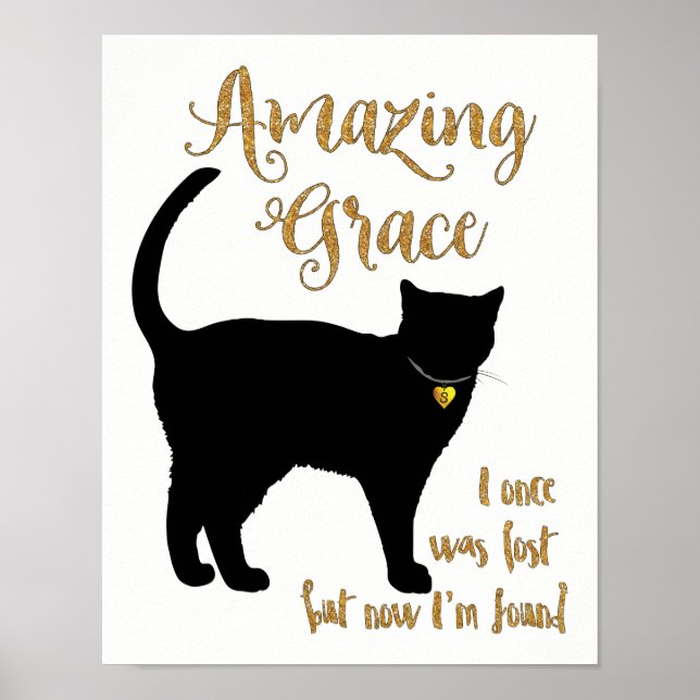 Poster Extraordinaire Grace Secouru Chat Shorthair (Devant)