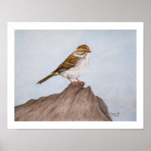 Poster Eye on the Sparrow 11"x14" Print