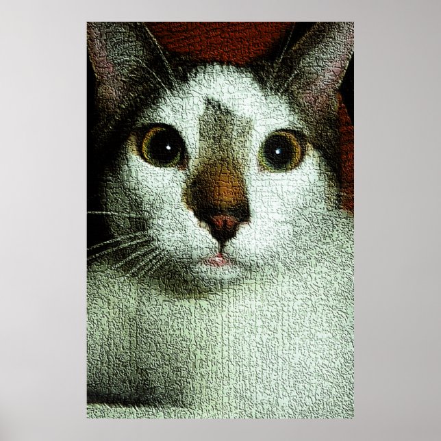 Poster  Eyes of Bud (Devant)