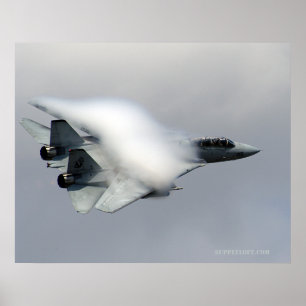 Poster F14 dans la passe haute vitesse
