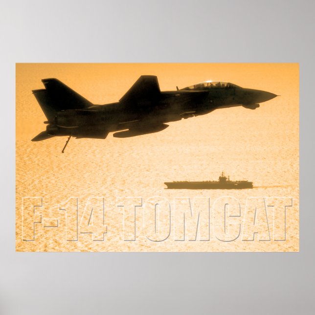 POSTER F-14 TOMCAT (Devant)