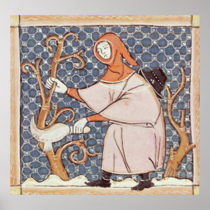 Poster F.58v mars : Arbres d'élagage