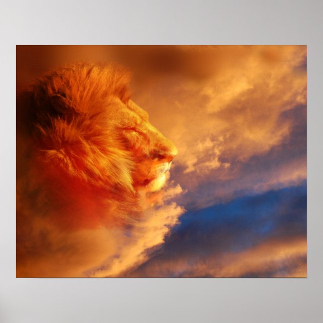 Poster Face de lion fière dans les nuages du coucher du s (Devant)