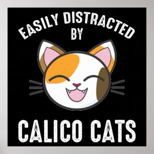 Poster Facilement Distrait Par Les Chats Calico