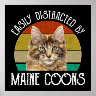 Poster Facilement Distrait Par Les Maine Coons