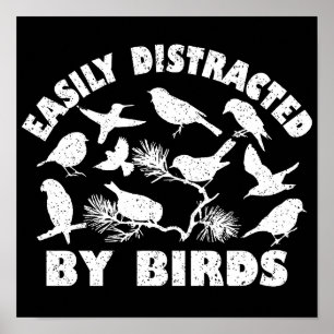 Poster Facilement Distrait Par Les Oiseaux