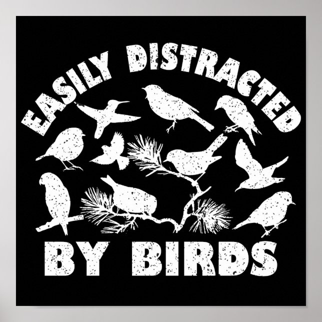 Poster Facilement Distrait Par Les Oiseaux (Devant)
