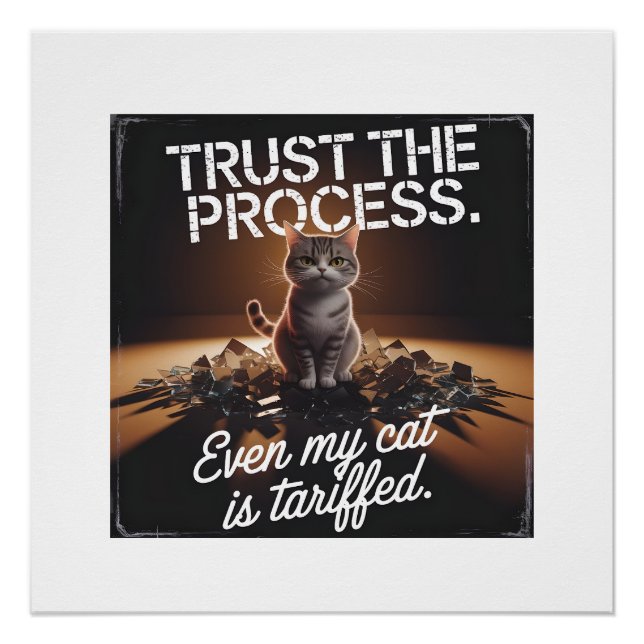 Poster Faire Confiance Au Processus Cat Office Mème Humor (Devant)
