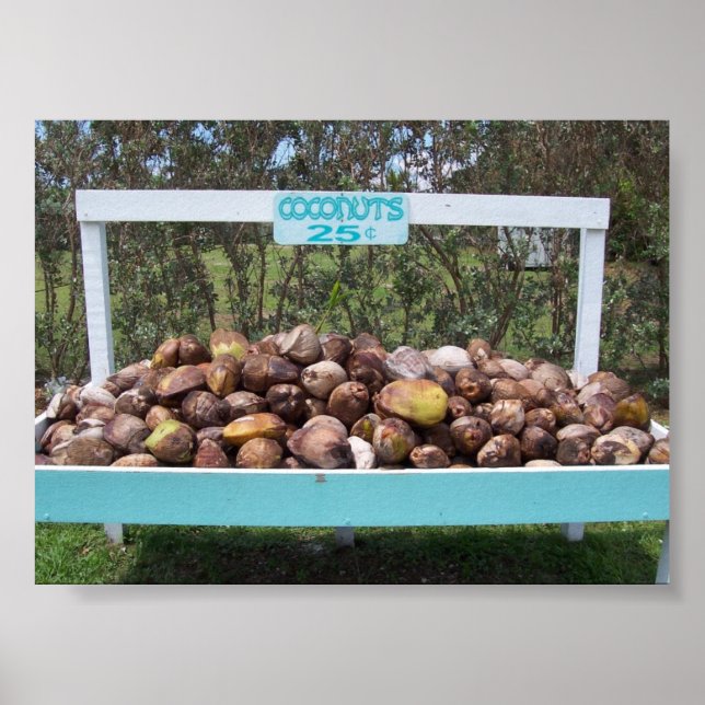 Poster Faire des noix de coco (Devant)