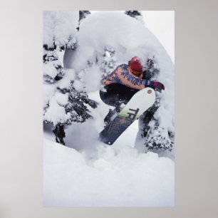 Poster Faire du surf des neiges