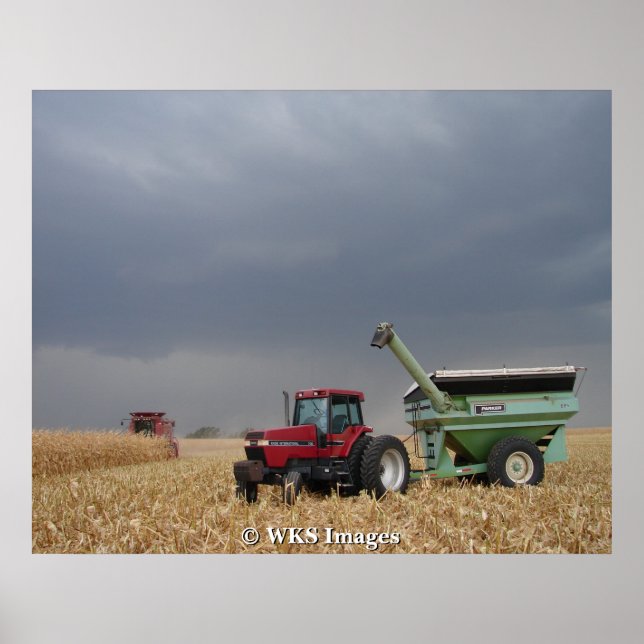 Poster Faire la course à la tempête (Devant)