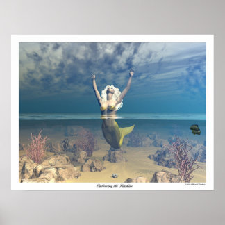 Poster Faire place au soleil