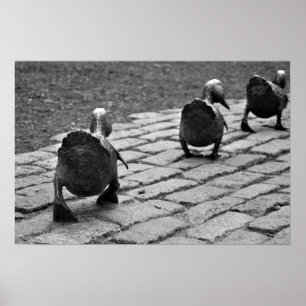 Poster Faire place aux colliers